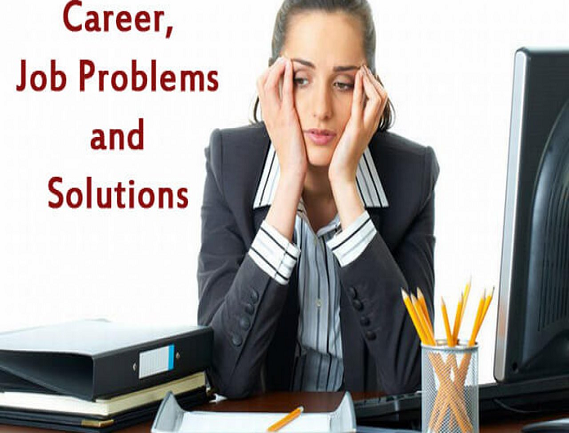 Service Provider of Career Job Problem Solution in New Delhi, Delhi, India.