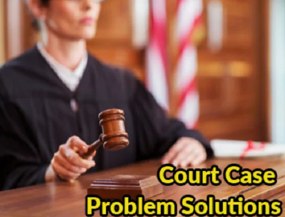 Service Provider of Court Case Problem Solution in New Delhi, Delhi, India.