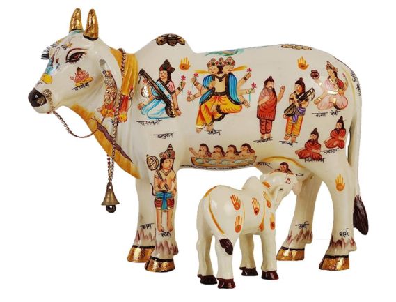 Manufacturer, Exporter, Importer, Supplier, Wholesaler, Retailer, Trader of kamdhenu cow in New Delhi, Delhi, India.